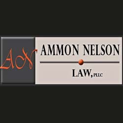 Ammon Nelson Law Salt Lake City UT Divorce Attorney