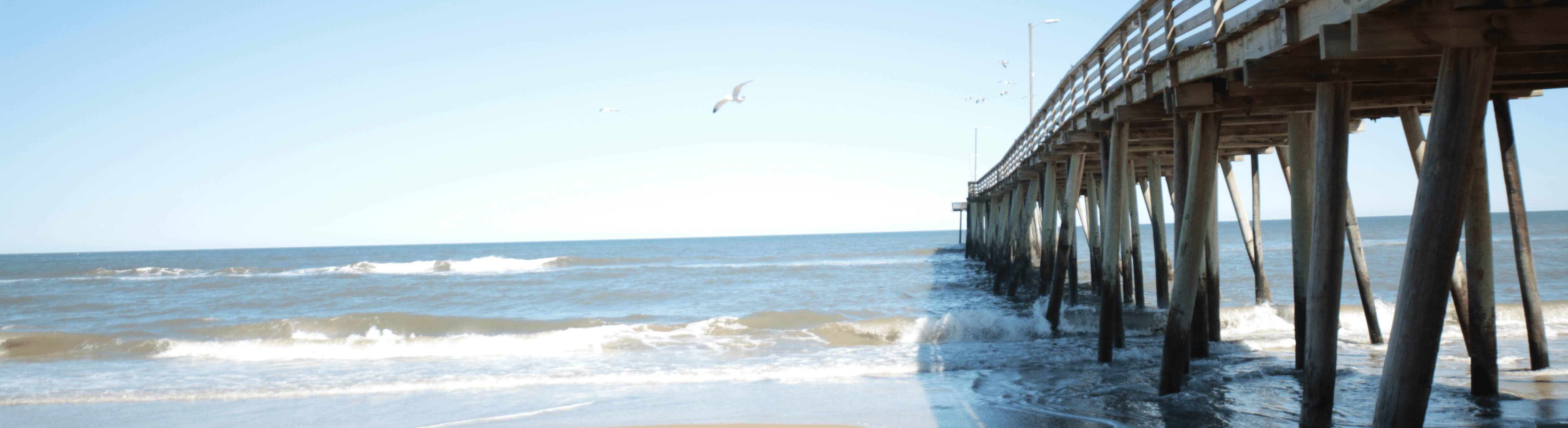 Breit Biniazan – Virginia Beach